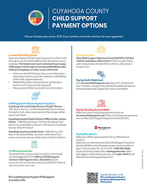 flyer of child support payment options